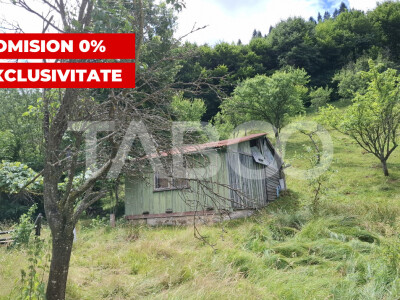 Teren 2500 mp Curmatura Rasinari 40 m deschidere la drum asfaltat