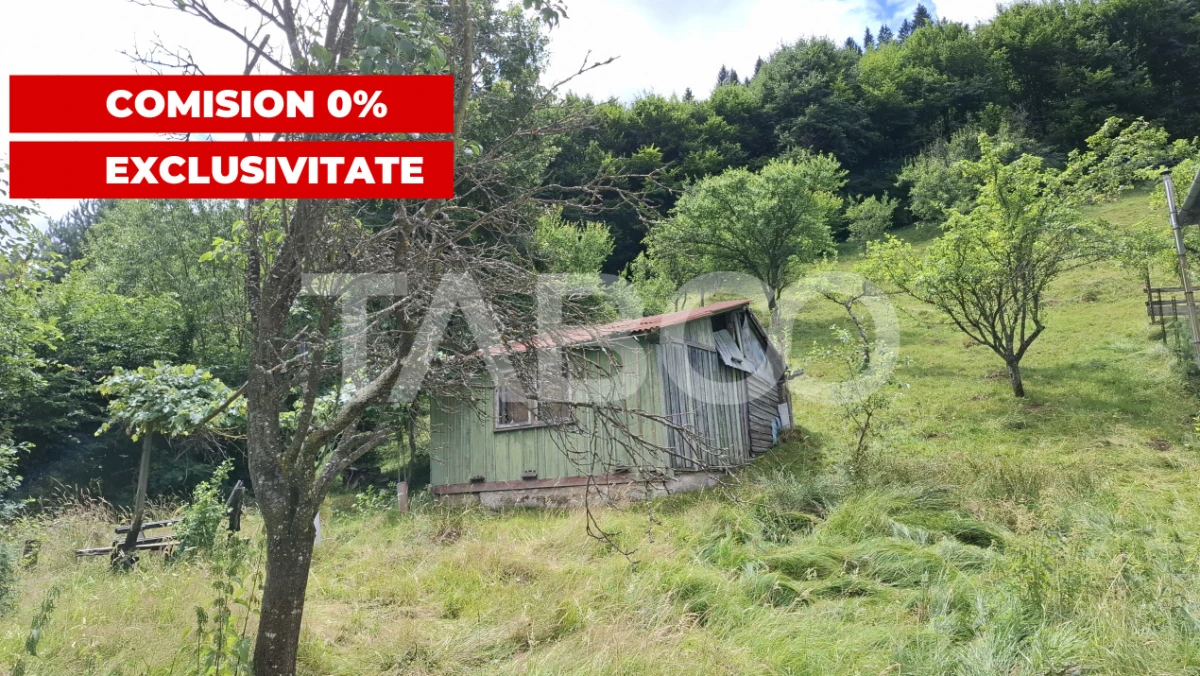 Teren 2500 mp Curmatura Rasinari 40 m deschidere la drum asfaltat - 1