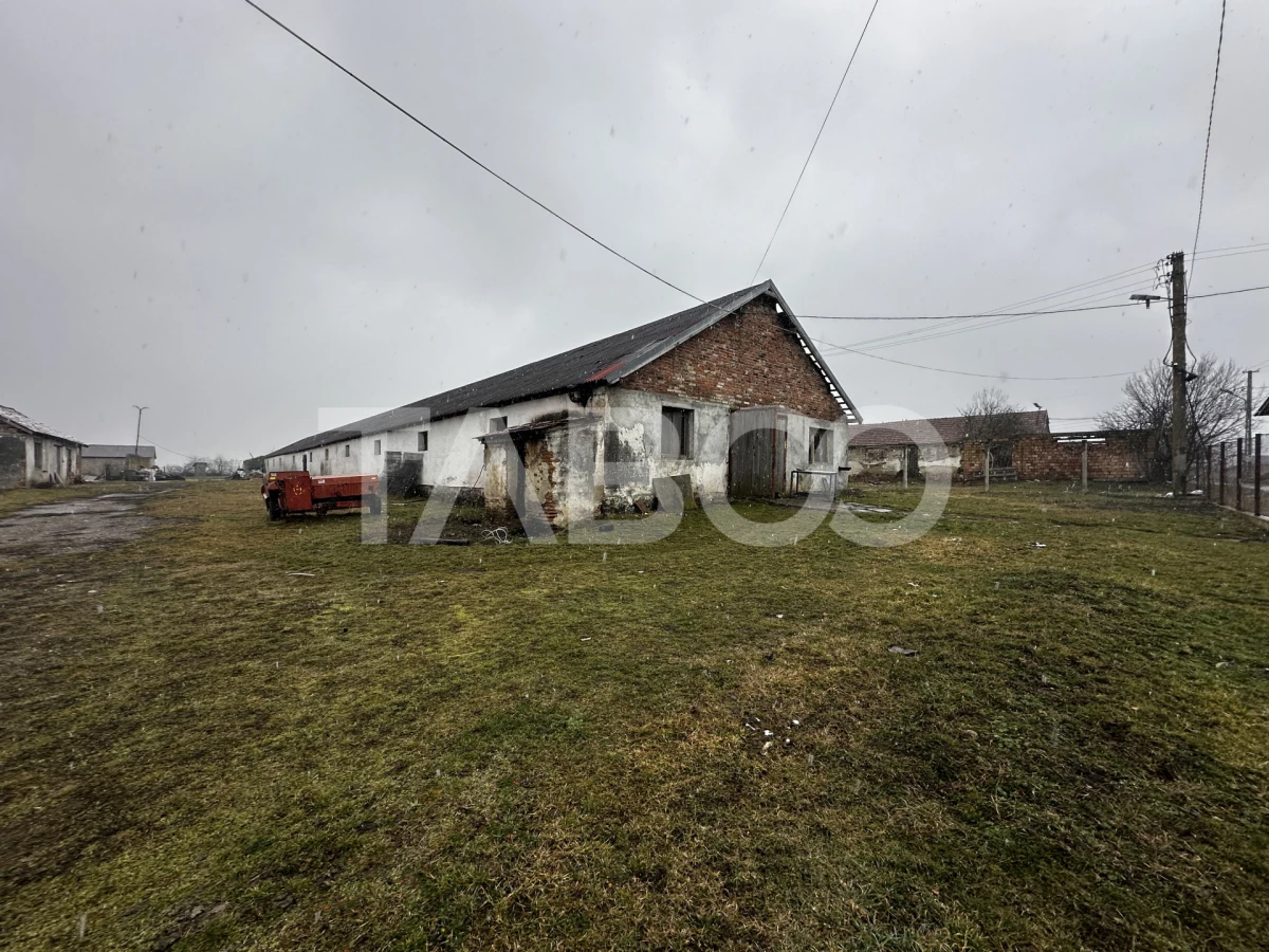 Teren de vanzare 8380 mp cu anexa de 1538 mp in Mohu - 5