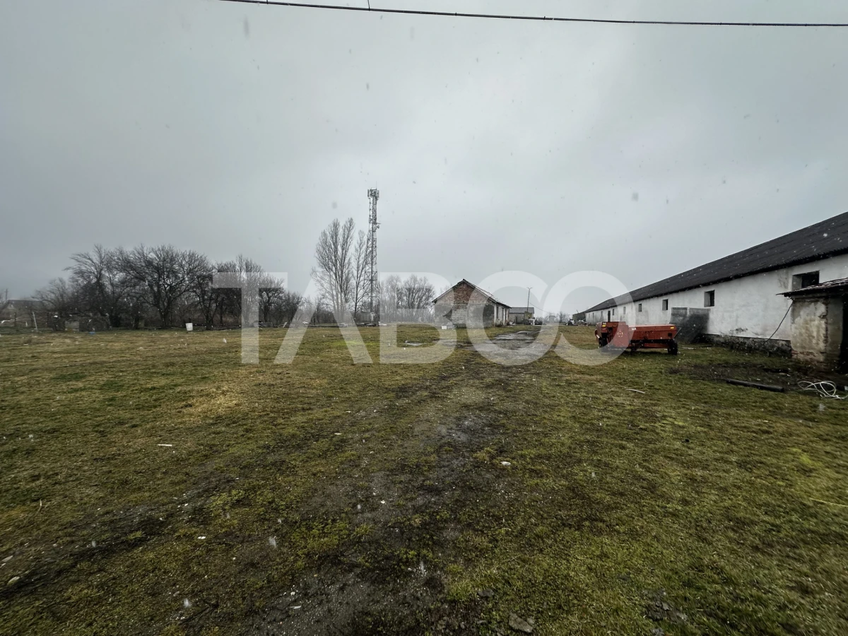 Teren de vanzare 8380 mp cu anexa de 1538 mp in Mohu - 4