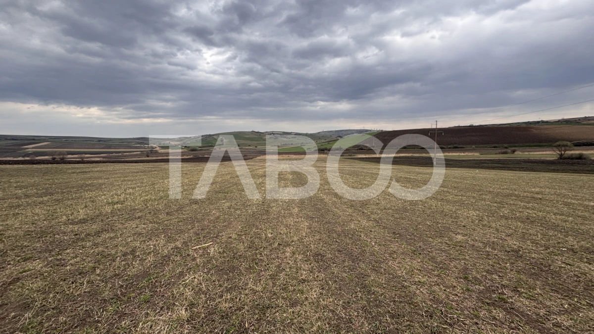 OPORTUNITATE INVESTITIE Teren de vanzare Sura Mare 24000 mp - 5