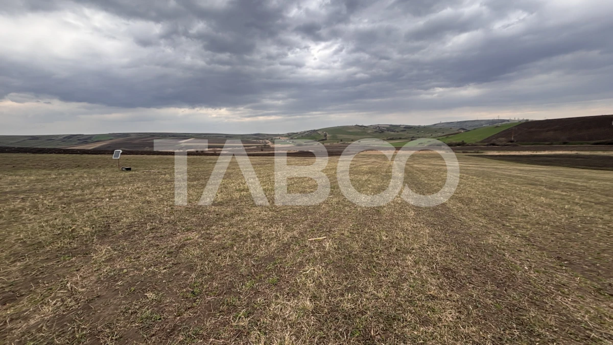 OPORTUNITATE INVESTITIE Teren de vanzare Sura Mare 24000 mp - 4