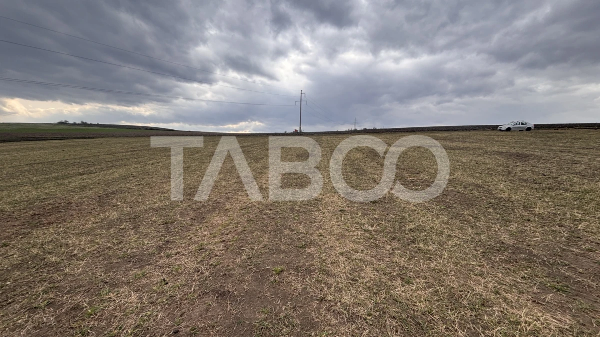 OPORTUNITATE INVESTITIE Teren de vanzare Sura Mare 24000 mp - 3