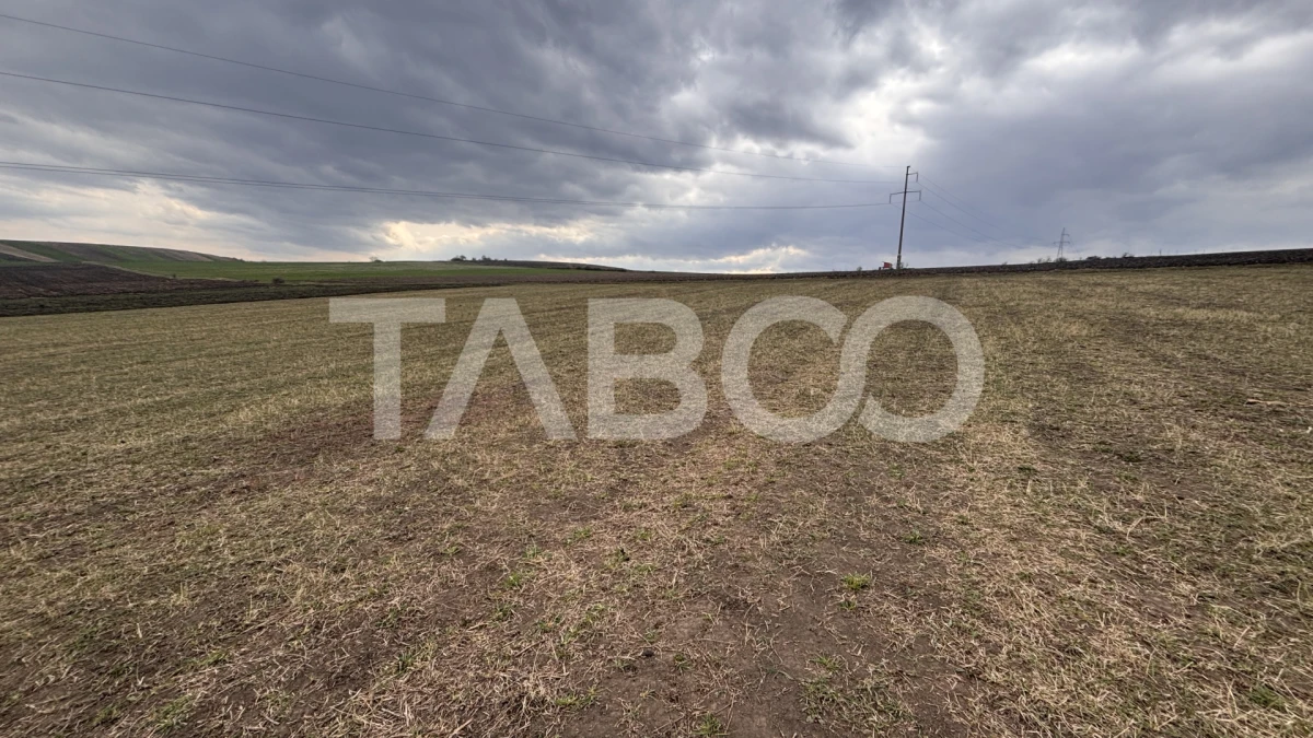 OPORTUNITATE INVESTITIE Teren de vanzare Sura Mare 24000 mp - 2