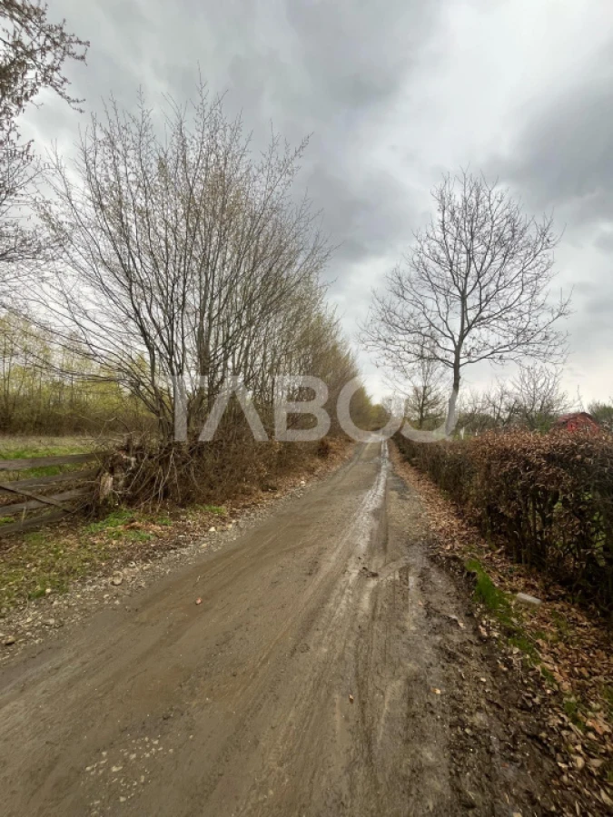 Teren intravilan pentru casa zona linistita 550 mp front 21 m Cisnadie - 3