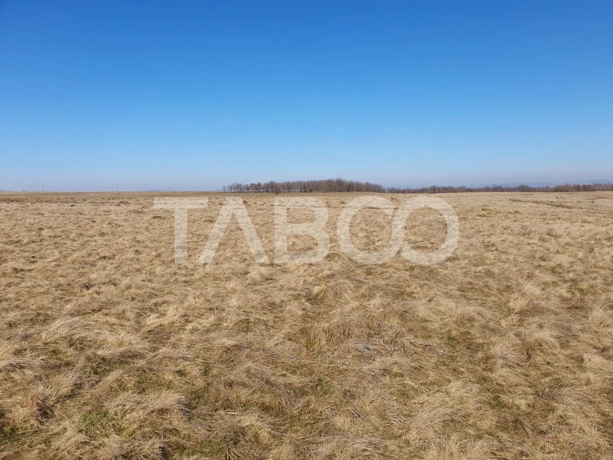 Teren de vanzare in zaona extravilanului comunei Recea 600 mp - 1