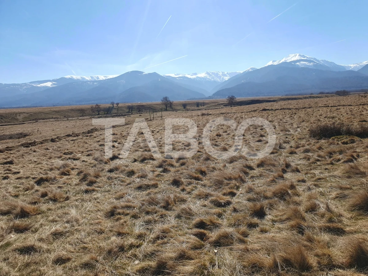 Teren extravilan 1000 mp zona Gura Vaii priveliste spre Muntii Fagaras - 1