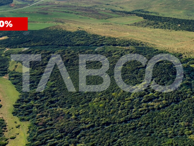 FARA COMISION Padure de vanzare 12.7 hectare situata in judetul Sibiu
