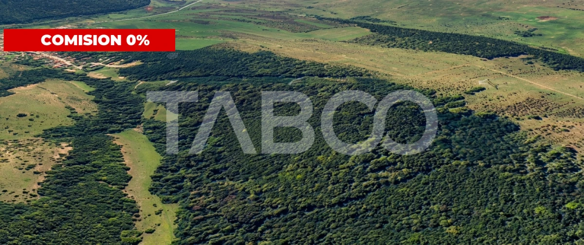 FARA COMISION Padure de vanzare 12.7 hectare situata in judetul Sibiu - 1