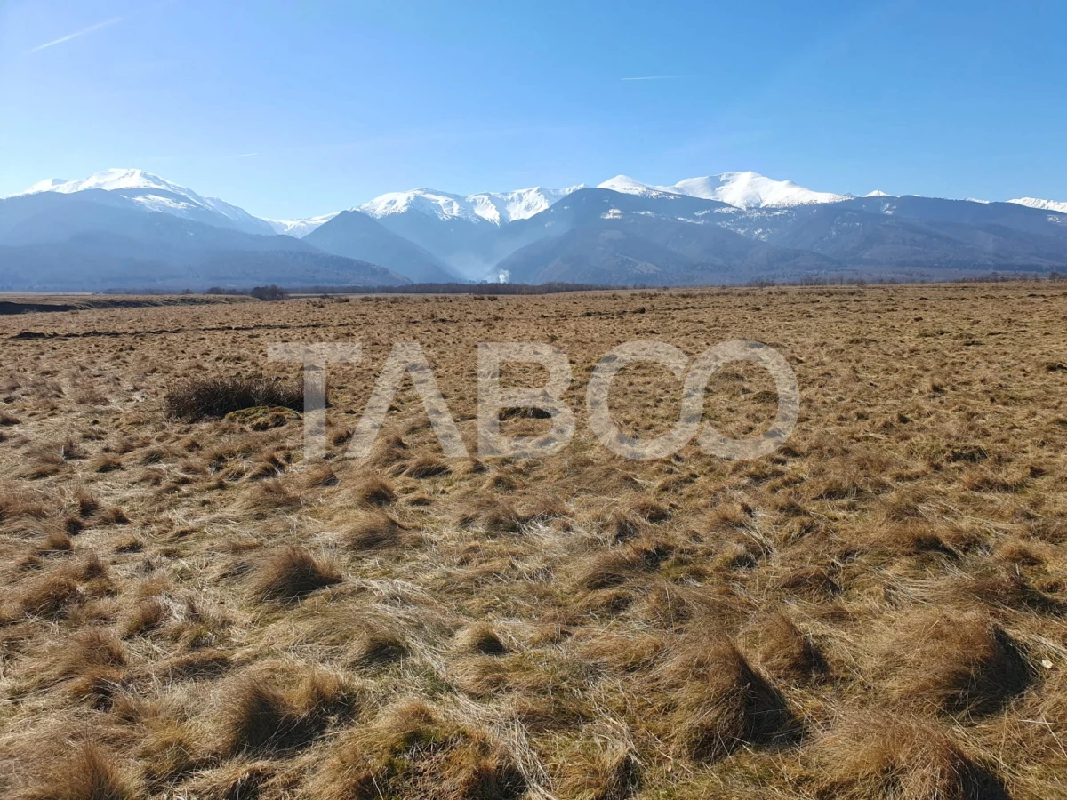 Teren extravilan in suprafata de 1000 mp pretabil pentru afacerea ta - 1