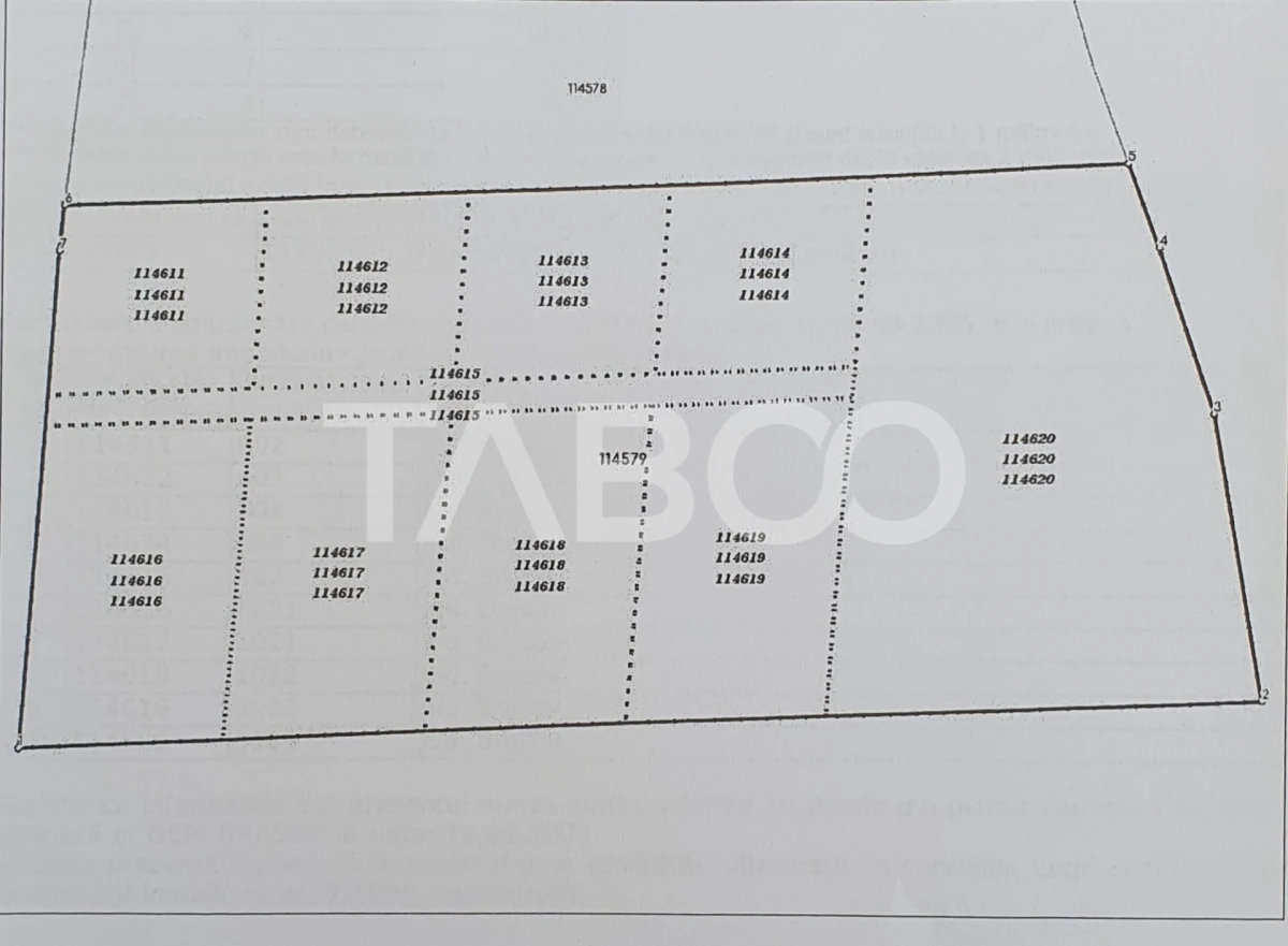 Tern de vanzare in extravilanul comunei Recea 6868 mp - 1