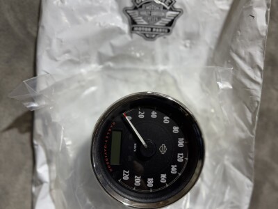 Vitezometru/Ceas de Bord si Suport OEM Harley Davidson Sportster