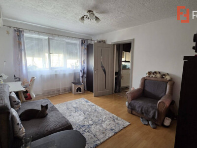 Apartament 2 camere semidecomandat, zona Iosefin