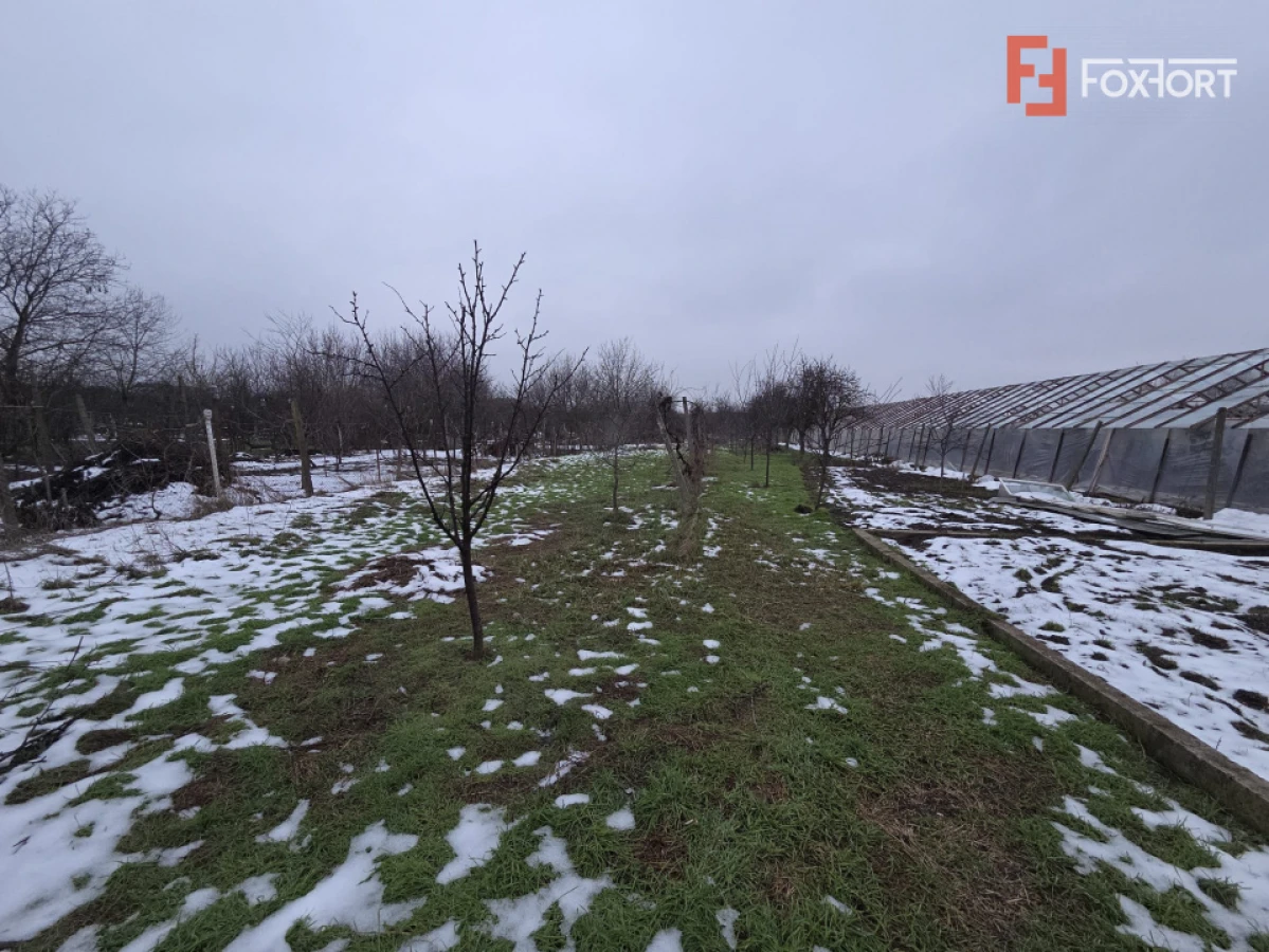 Casa individuala cu 5 camere de inchiriat zona Aradul Nou - 9