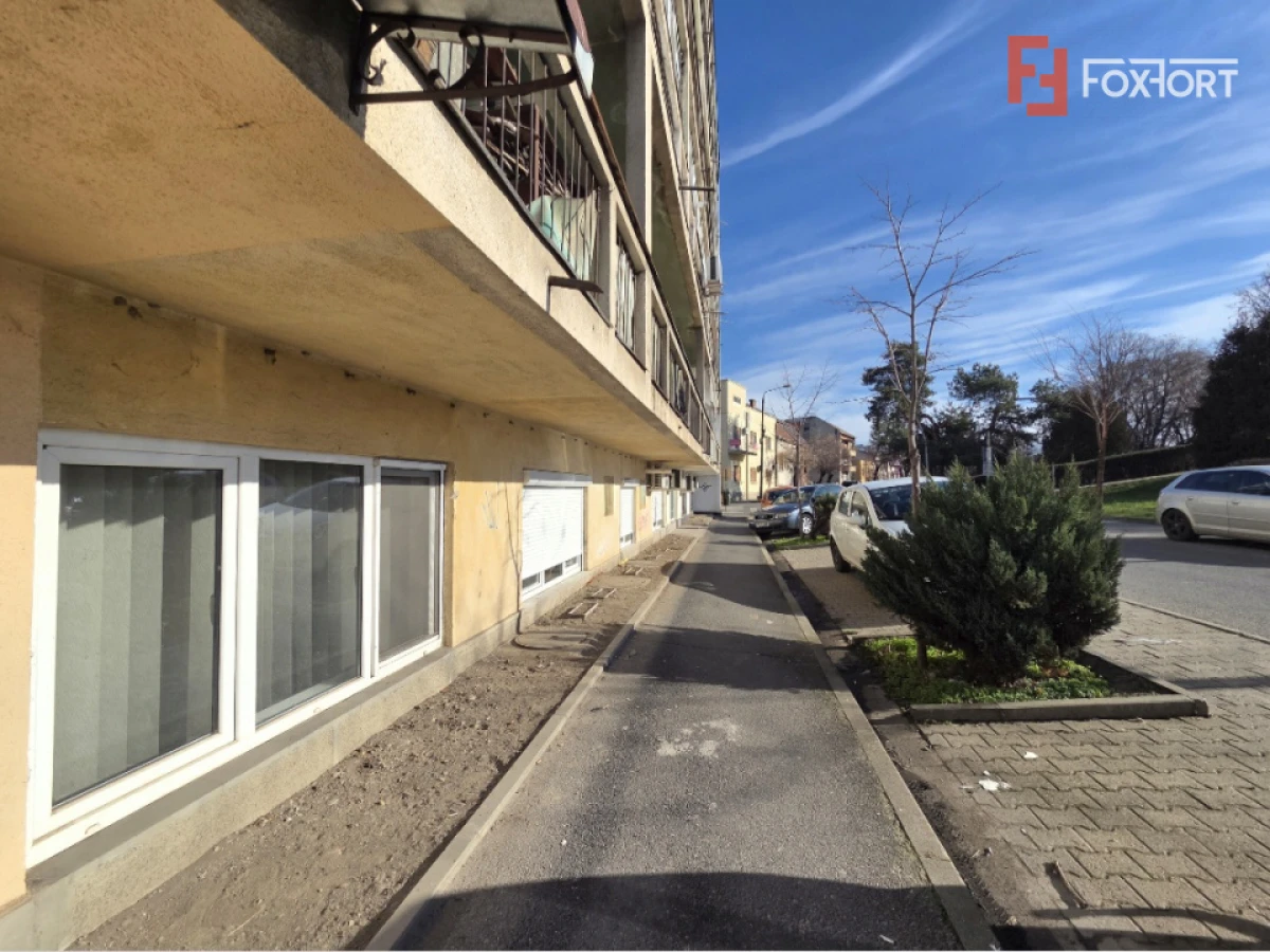 Apartament 2 camere de vanzare in Arad, Strada Praporgescu, locuinta / birou - 9