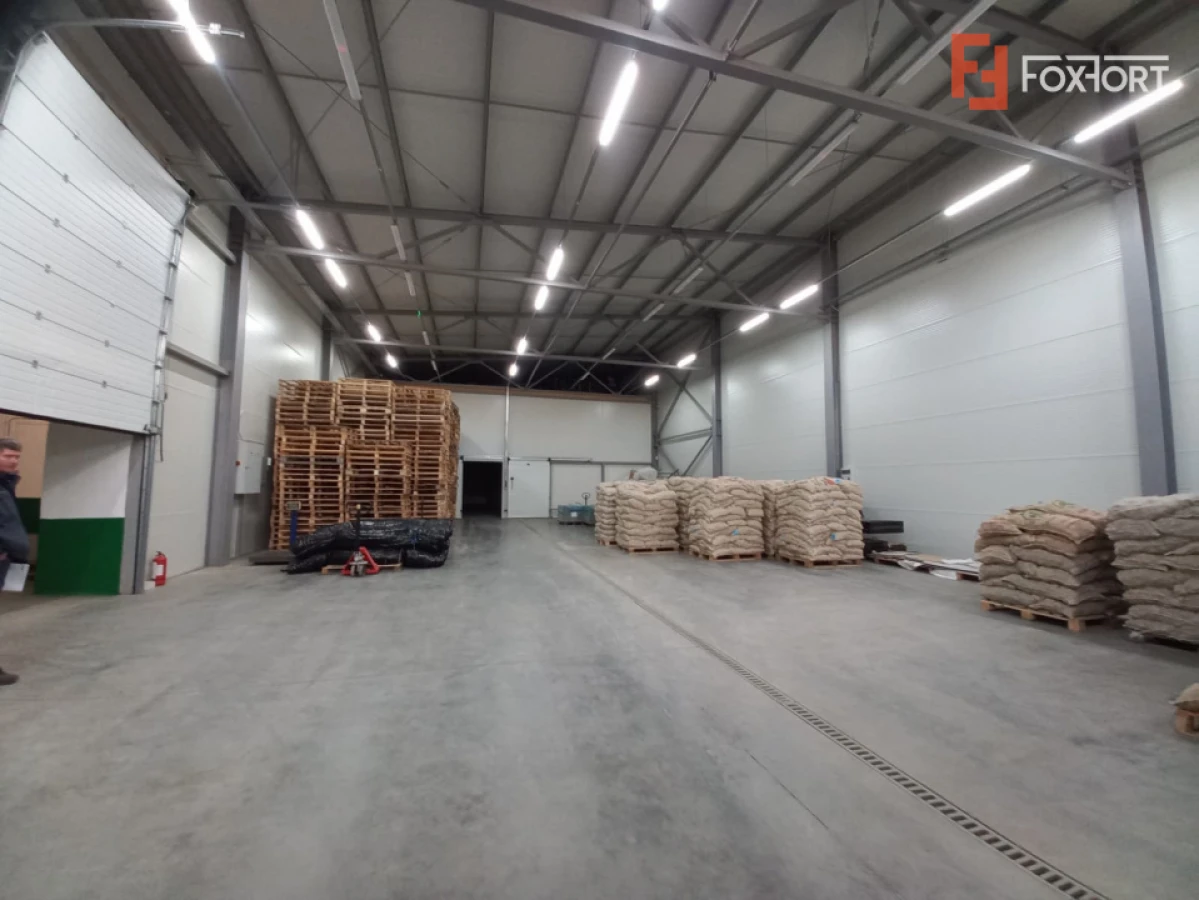 Hala industriala 572 mp, teren 1.615 mp - Zona Sud Timisoara - 5