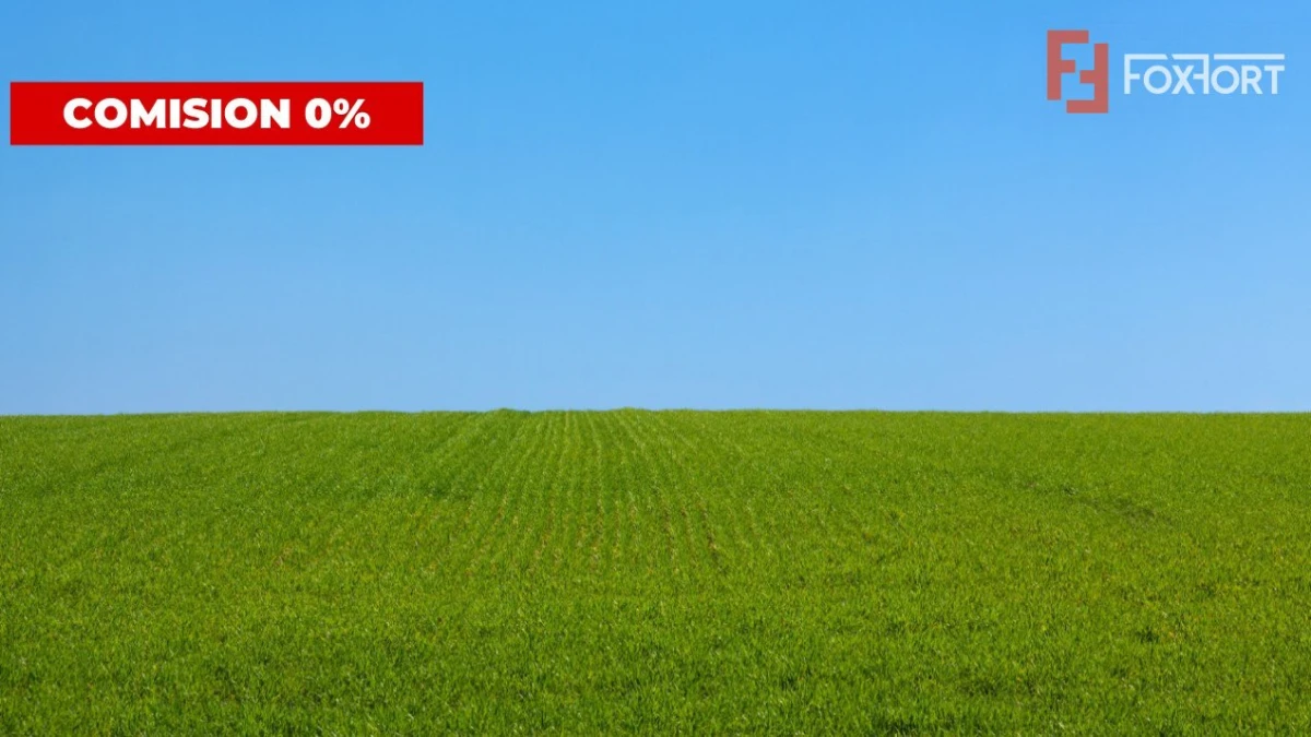 COMISION 0% Teren extravilan pentru inchiriere in Sacalaz - 1