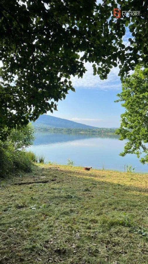 Comision 0% Teren de vanzare 6000 mp cu iesire la Lac Surduc - 8