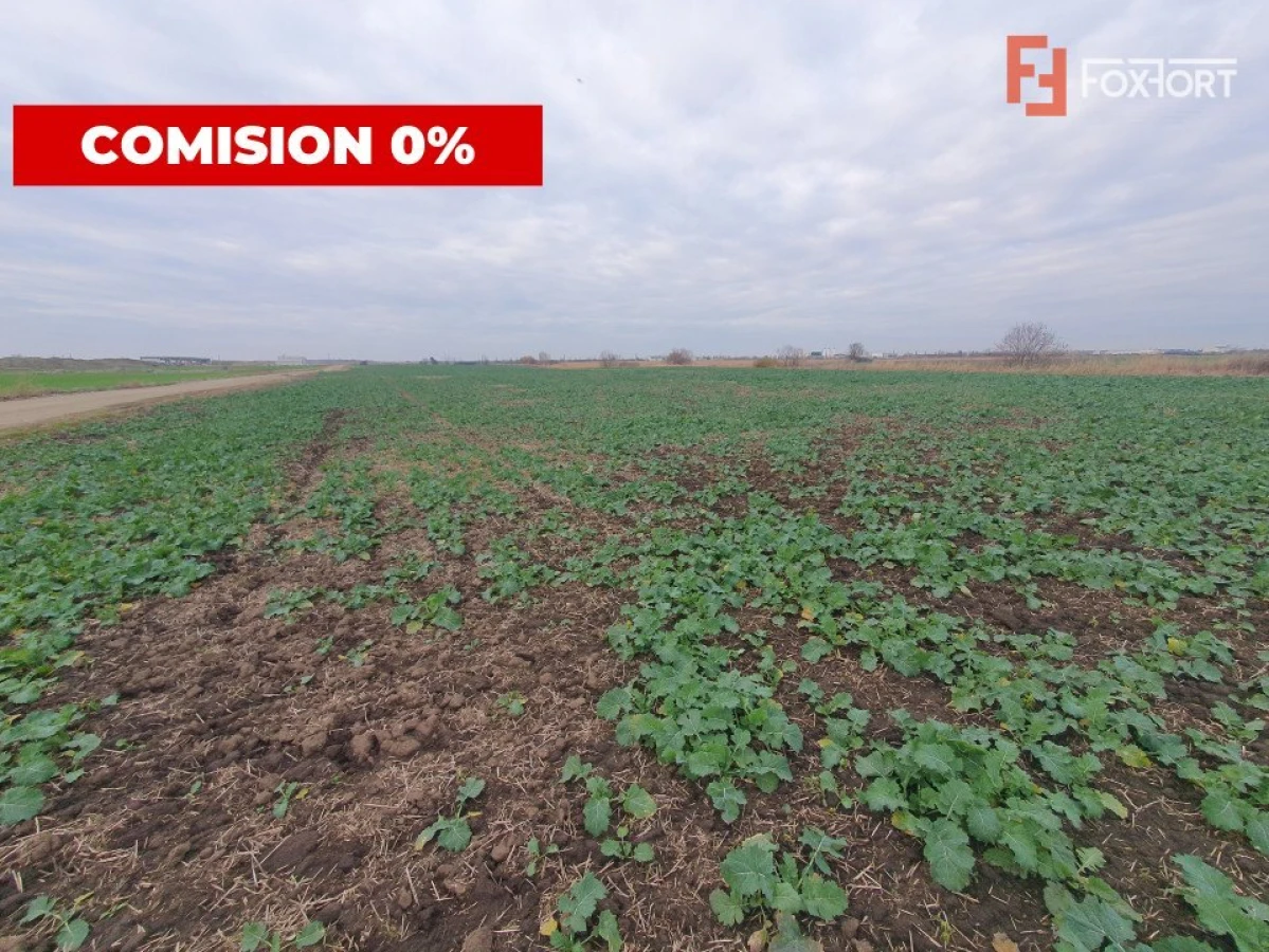 Comision 0% Teren industrial, 7 ha, intravilan, Calea Sagului - 5
