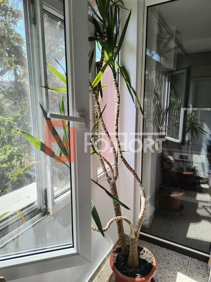 COMISION 0% Apartament cu o camera de inchiriat, etajul 1, zona Brancoveanu - 8