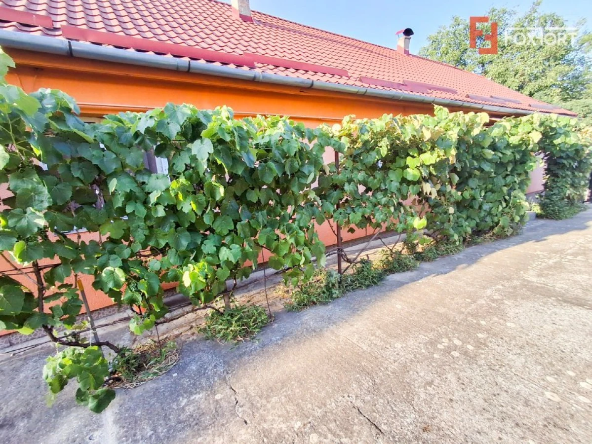 COMISION 0% - Casa individuala 5 camere cu teren 1348 mp - Giarmata - 2