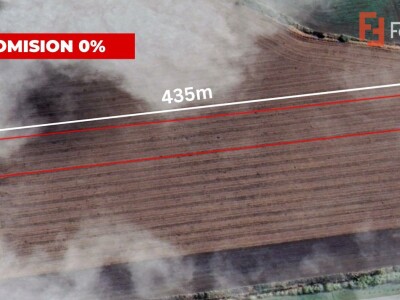 COMISION 0% Teren extravilan agricol 1 ha, Beregsau Mare - Pozitionare excelenta