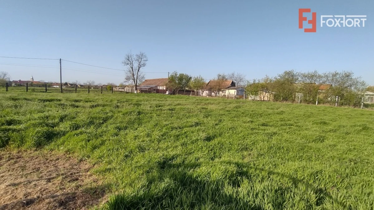 COMISION 0% Teren intravilan constructii, Checea - 1000 mp, asfalt, utilitati - 2