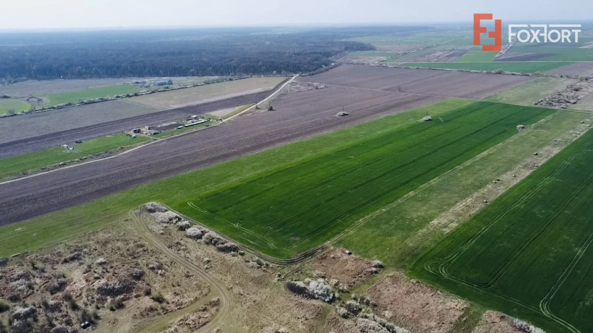 COMISION 0% Teren Extravilan 10.000 mp, Front 15,6ml, Langa Padurea Giroc - 3