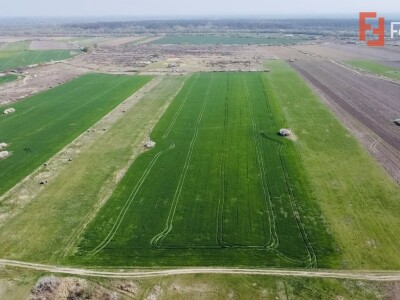 COMISION 0% Teren Extravilan 10.000 mp, Front 15,6ml, Langa Padurea Giroc