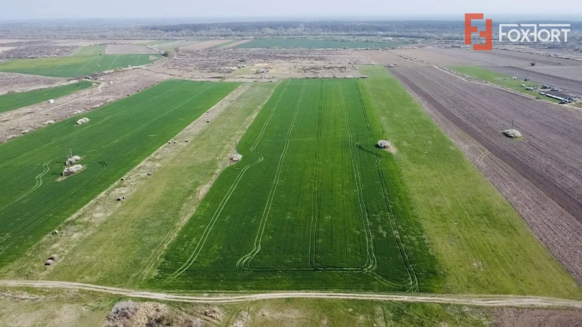 COMISION 0% Teren Extravilan 10.000 mp, Front 15,6ml, Langa Padurea Giroc - 1