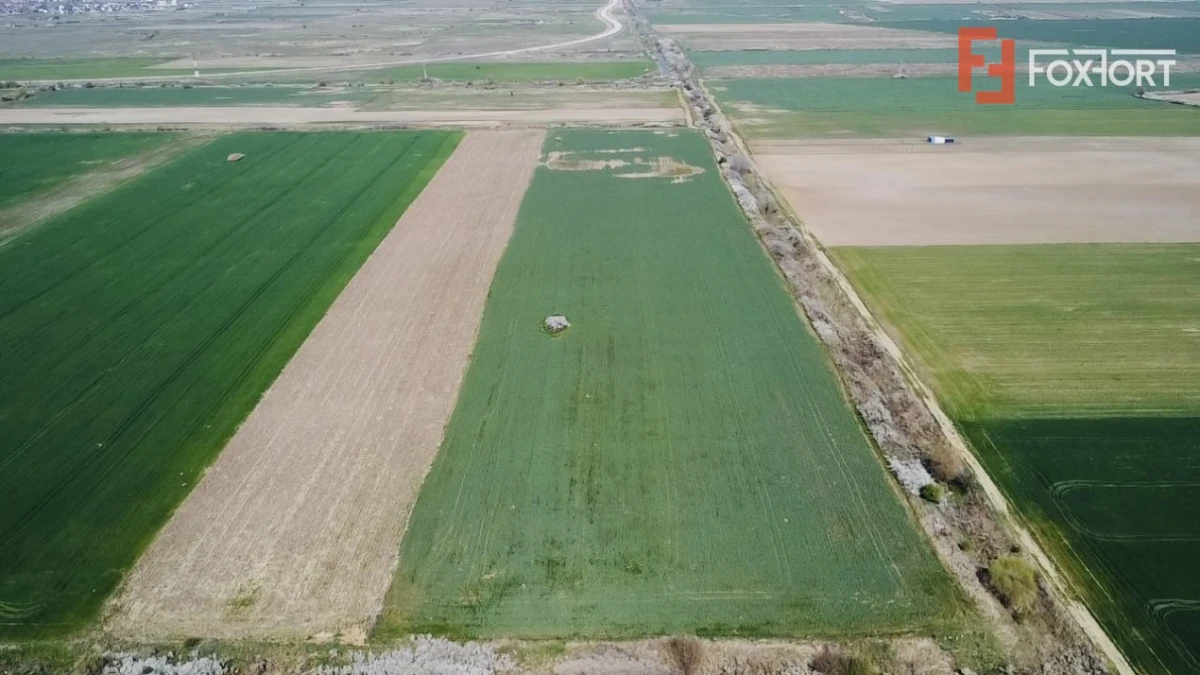 COMISION 0% Teren Extravilan 10.200 mp, Front 19ml, Giroc - 1