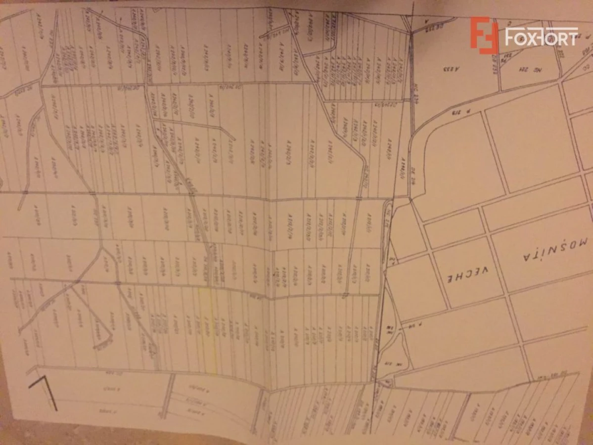 Teren 20000 mp intre Mosnita Veche si Bucovat - ID V4317 - 3