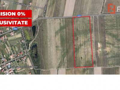 Teren 20000 mp intre Mosnita Veche si Bucovat - ID V4317