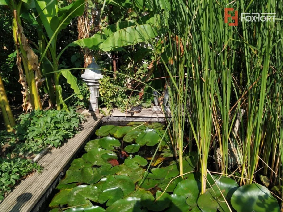 OCAZIE COMISION 0% - Vanzare Casa individuala, 530 mp, in Timisoara - 8