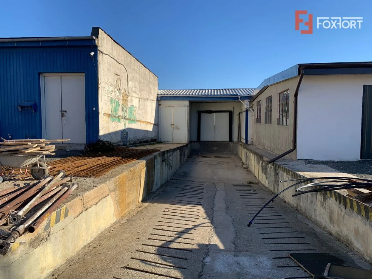 COMISION 0% Hala Industriala 500 mp cu Spatiu de Birou 200 mp in Buzias - 4