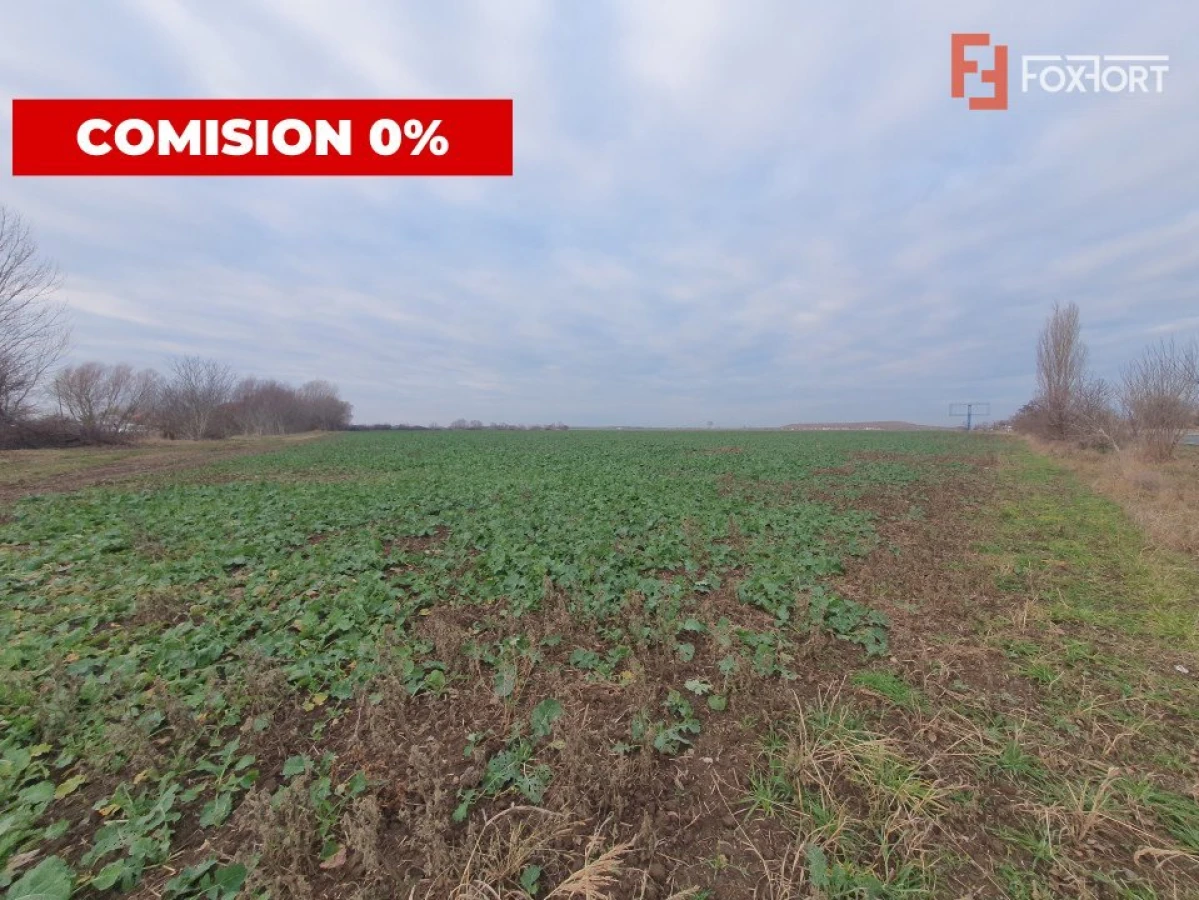 COMISION 0% Teren extravilan 20.000 mp la sosea in Sag - 5