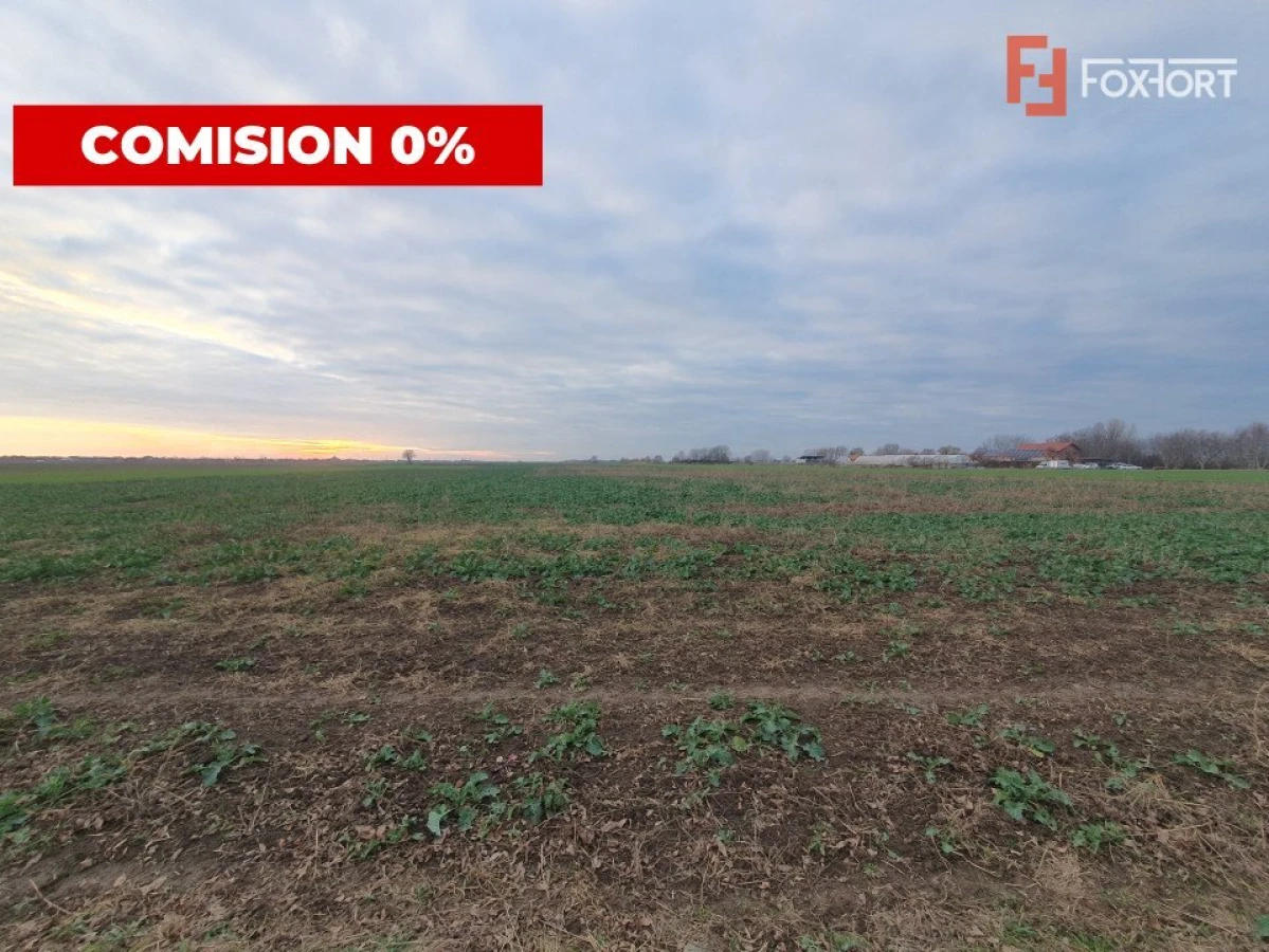 COMISION 0% Teren extravilan 20.000 mp la sosea in Sag - 3