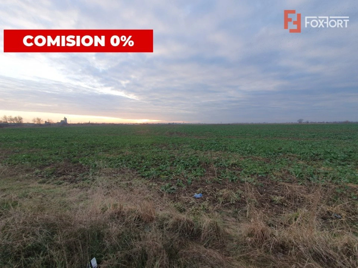 COMISION 0% Teren extravilan 20.000 mp la sosea in Sag - 2