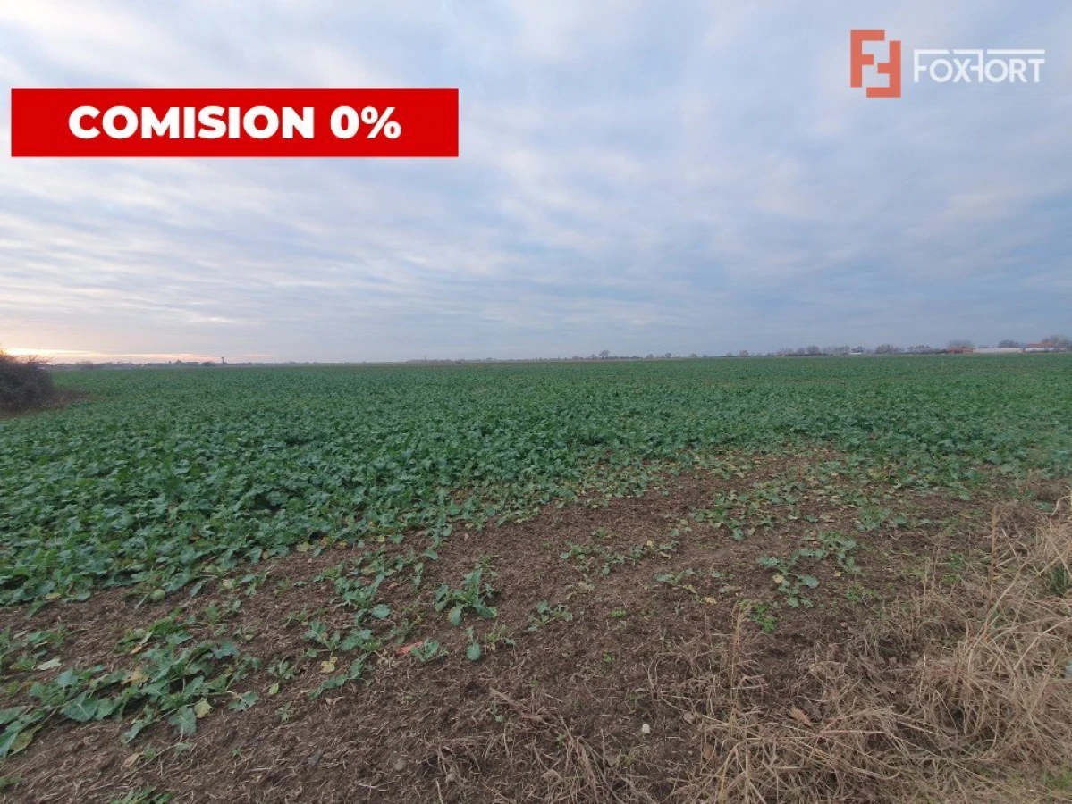 COMISION 0% Teren extravilan 20.000 mp la sosea in Sag - 1