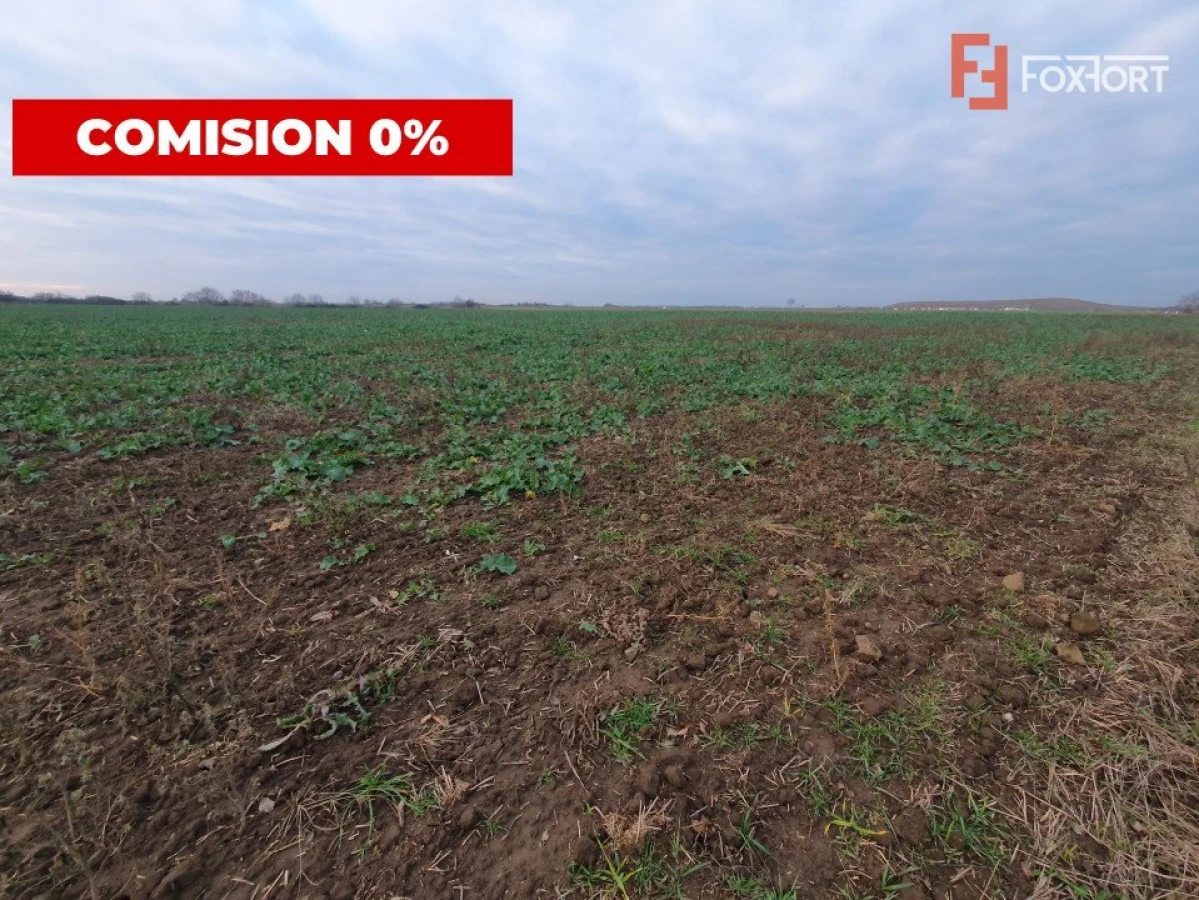 COMISION 0% Teren extravilan agricol 10.000 mp la sosea in Sag - 4