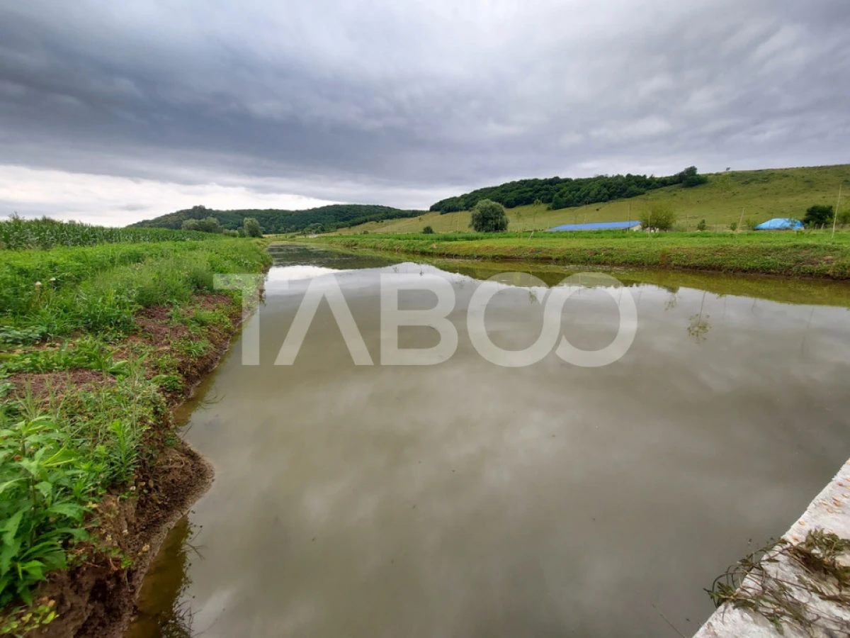 COMISION 0 - Casa cu 4000 mp teren piscina zona retrasa in Casolt - 8