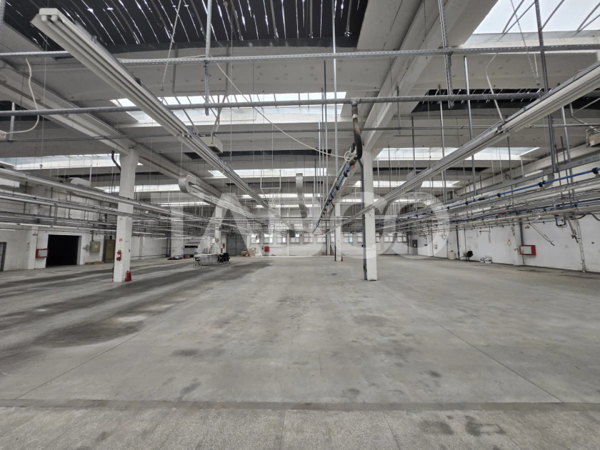 Spatiu industrial de inchiriat 1923mpu in Cisnadie - 2