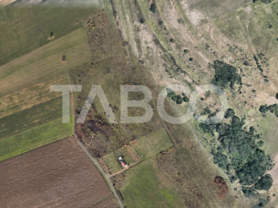 Teren extravilan de vanzare 4496 mp constructie cabana Gusterita Sibiu