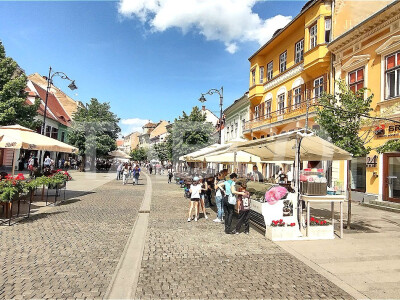 Apartament la cheie 2 camere 80 mpu in zona Centrului Istoric Sibiu