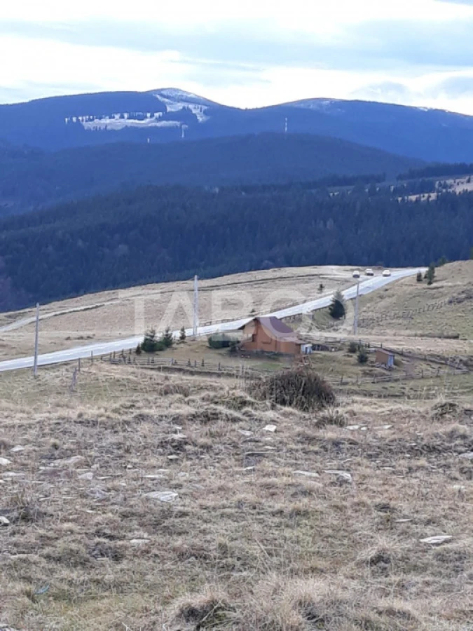 De vanzare teren extravilan 3854 mp acces auto Paltinis Sibiu - 4