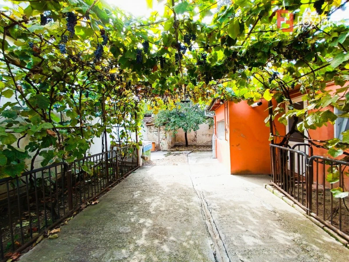 Casa individuala Freidorf pozitie excelenta + garaj - 1