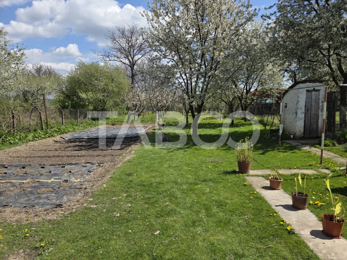 Casa individuala de vanzare 3 camere curte si gradina Beclean - 4