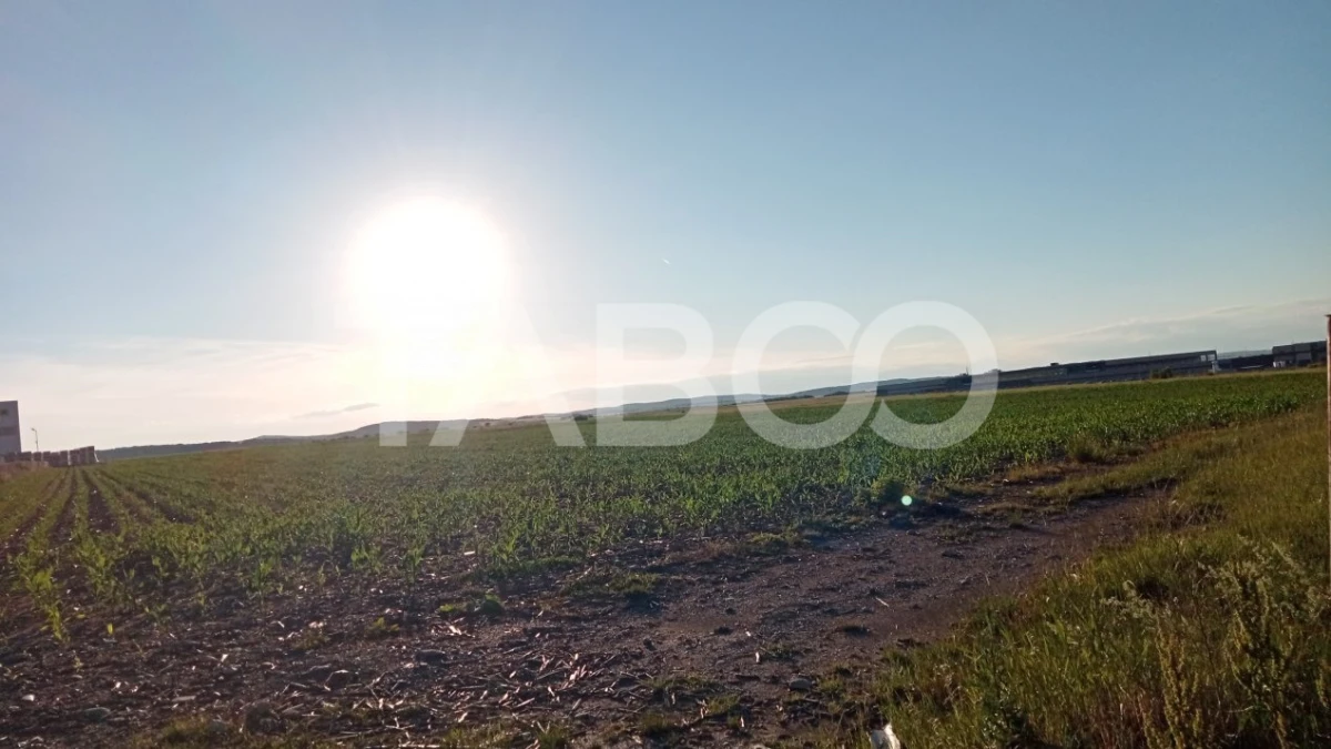 Teren intravilan 2 ha deschidere drum zona Industriala Vest Sibiu - 7
