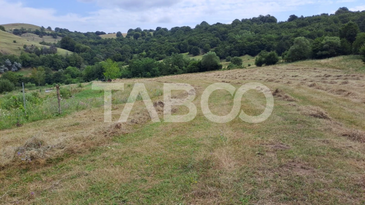 Teren de vanzare 15600 mp langa padure in Hamba Sibiu - 2