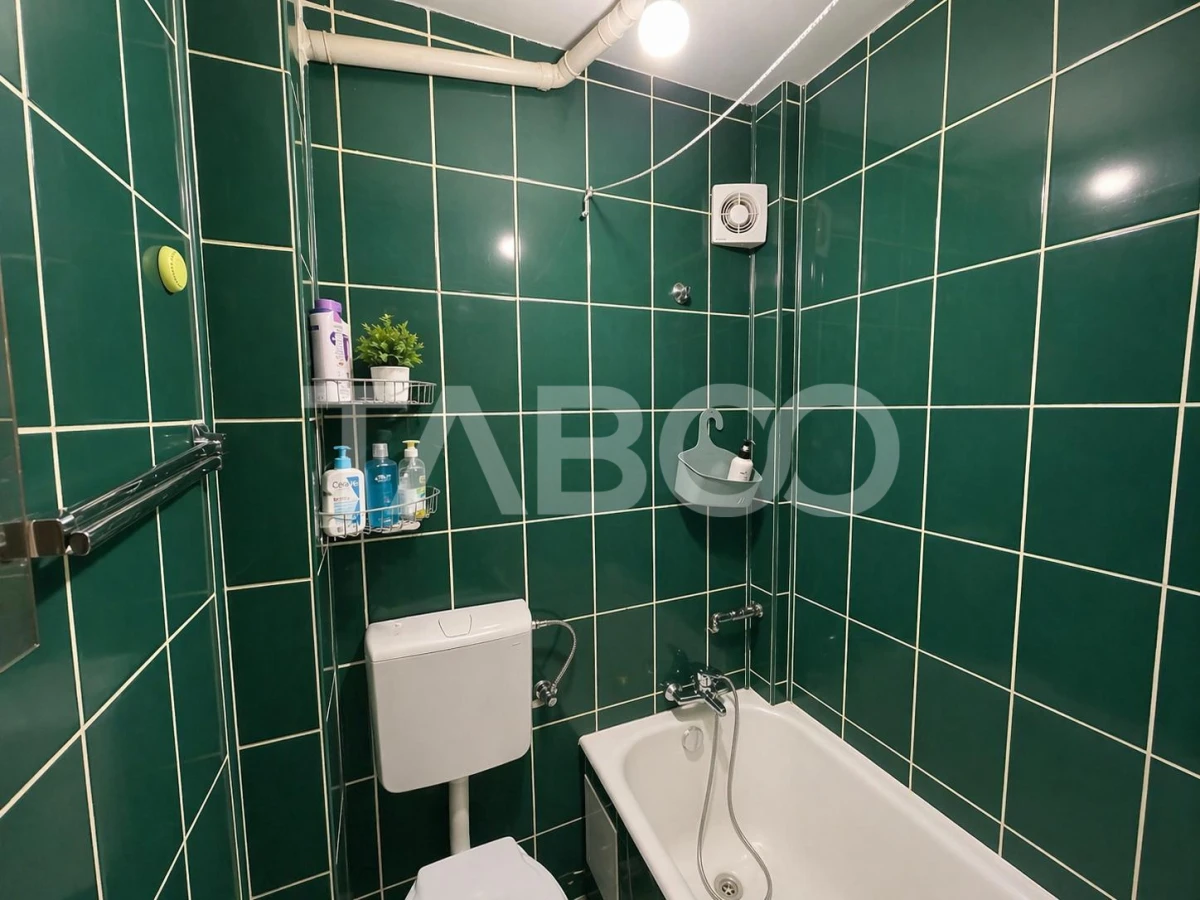 Apartament de vanzare 3 camere semidecomandat etaj intermediar Sibiu - 4